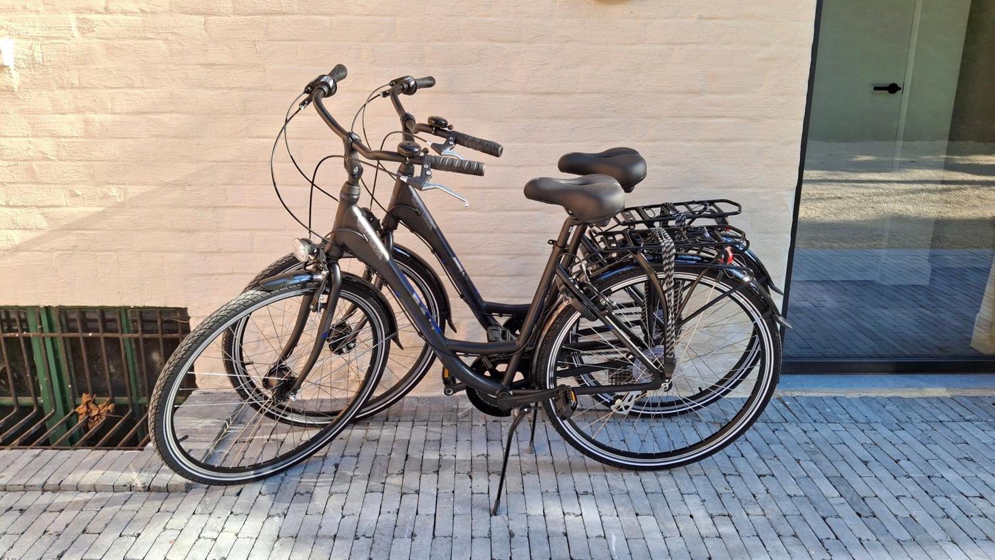 Prive In Groene Omgeving Fietsen & Parkeerplaats Inbegrepen Appartement